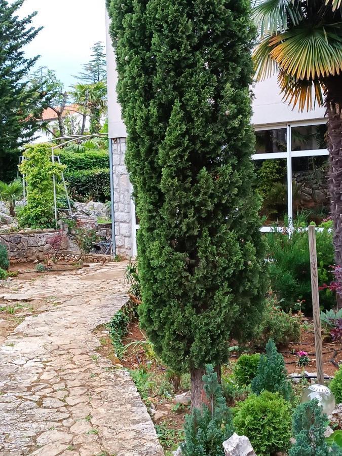 Apartment Sun Garden Малинська Екстер'єр фото